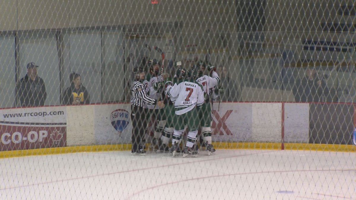 The Winnipeg Wild celebrate after a first period goal against the Winnipeg Thrashers on Wednesday.
