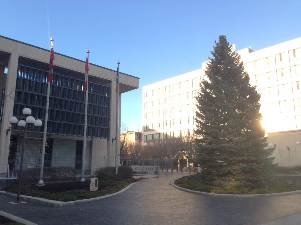 This year's City Hall Christmas tree went up Sunday morning.  Nov. 8, 2015.