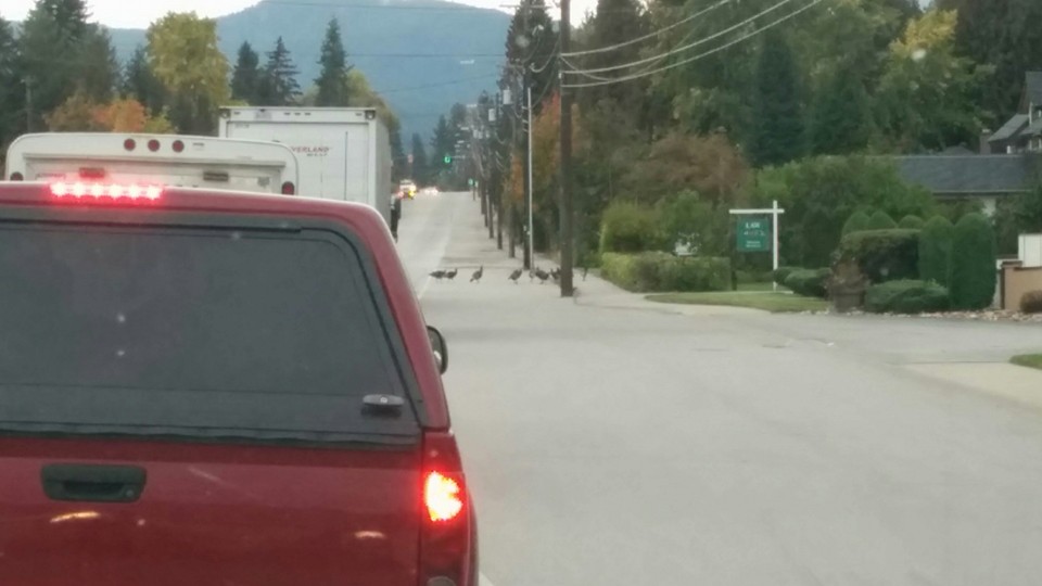 Credit: Jana Command Spender