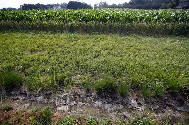 FILE - In this June 11, 2015 file photo, a dry water ditch is seen next to a corn field in Cordova, Md. The White House on Tuesday threatened to veto a Senate bill that would block new federal rules to protect smaller streams, tributaries and wetlands from pollution and development. Senators are voting Tuesday on whether to consider the bill. Most Democrats are opposed to the legislation, saying that the Obama administration rules will safeguard drinking water for 117 million Americans and should remain in place. The White House said the regulations are "essential to ensure clean water for future generations." (AP Photo/Alex Brandon, File).