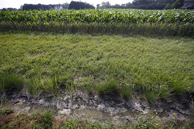 FILE - In this June 11, 2015 file photo, a dry water ditch is seen next to a corn field in Cordova, Md. The White House on Tuesday threatened to veto a Senate bill that would block new federal rules to protect smaller streams, tributaries and wetlands from pollution and development. Senators are voting Tuesday on whether to consider the bill. Most Democrats are opposed to the legislation, saying that the Obama administration rules will safeguard drinking water for 117 million Americans and should remain in place. The White House said the regulations are "essential to ensure clean water for future generations." (AP Photo/Alex Brandon, File).