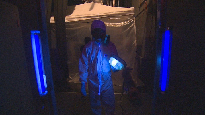 Zombie apocalypse at Macdonald High School. Saturday, Nov. 7, 2015.