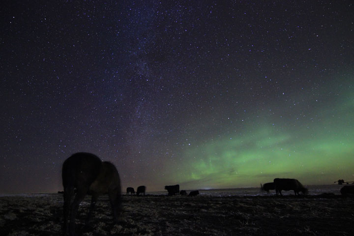 Dec. 9: This Your Saskatchewan photo was taken northwest of Rosetown by Cheryl Hare.