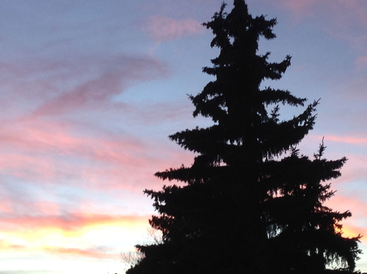 Dec. 10: This Your Saskatchewan photo was taken in Saskatoon by Christel Jeffrey.