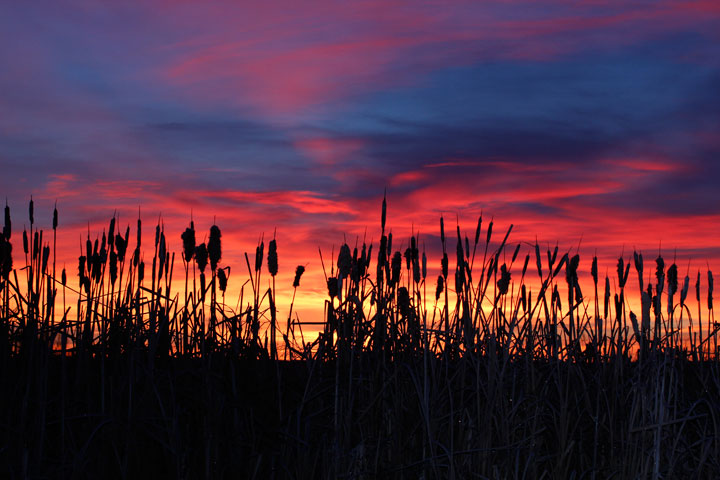 Dec. 15: Dale Boan took this Your Saskatchewan photo near Porter Lake east of Saskatoon.