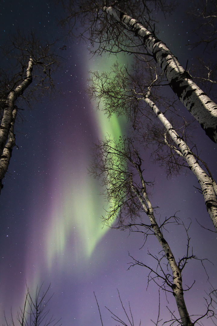 Dec. 21: Jodi Becquet took this Your Saskatchewan picture of the auroras south of Saskatoon on Sunday night.