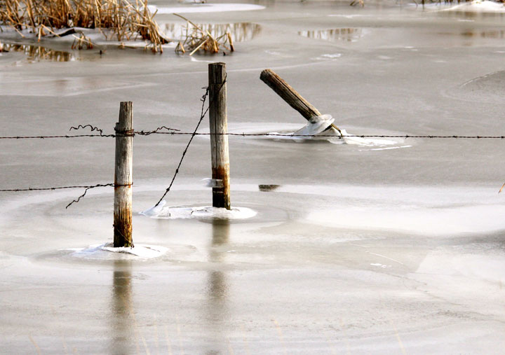 Dec. 16: This Your Saskatchewan photo was snapped near Herbert by Krista Routledge.