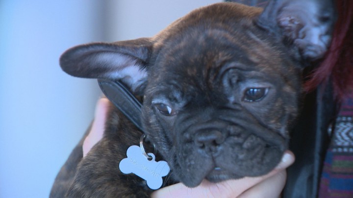 Airport travel tips to help save your sanity this holiday season - image