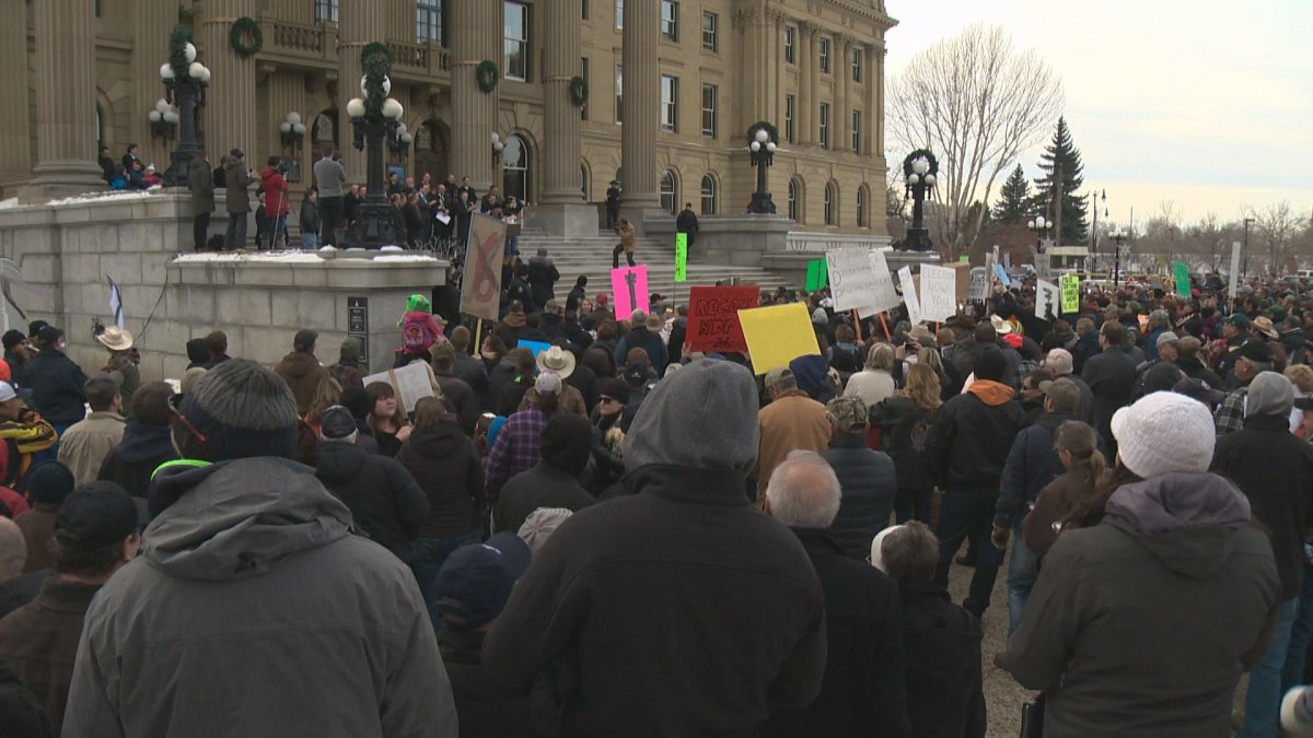 A rally opposing Bill 6 at the Alberta Legislature on Thursday, Dec. 3, 2015.
