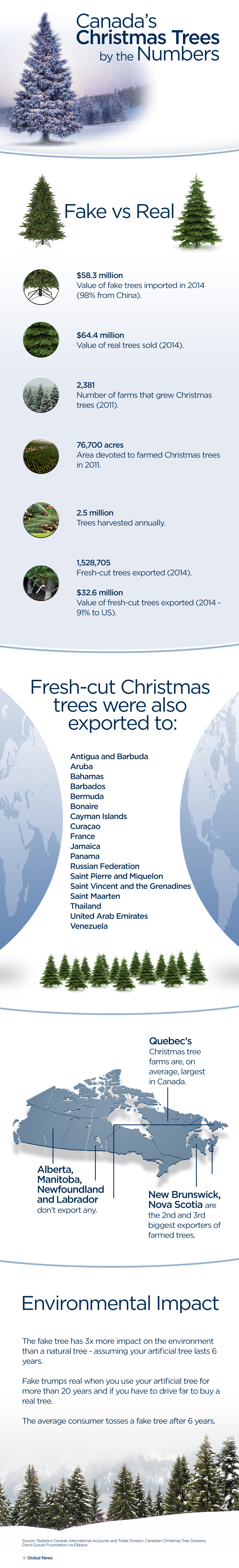 Fake vs. real Christmas trees: The perennial debate - image