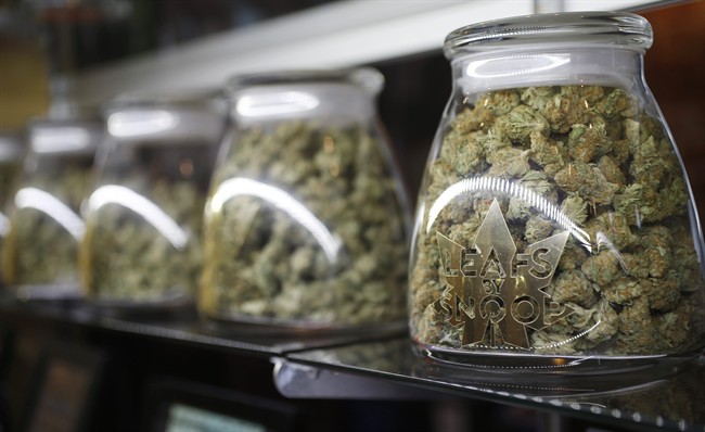 Vancouver grants first marijuana shop licence - image