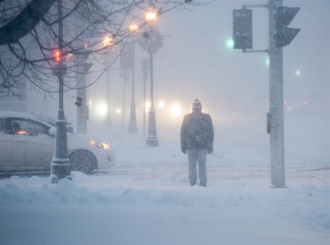 A pedestrian trudges through the snow in Fredericton on December 15, 2015.