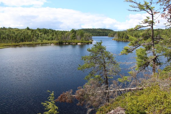 RCMP say a man & woman, both in their 50’s used a cell phone to call police.