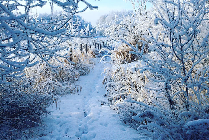 Dec. 30: This Your Saskatchewan photo was taken by Desiree Dallman in Prince Albert.