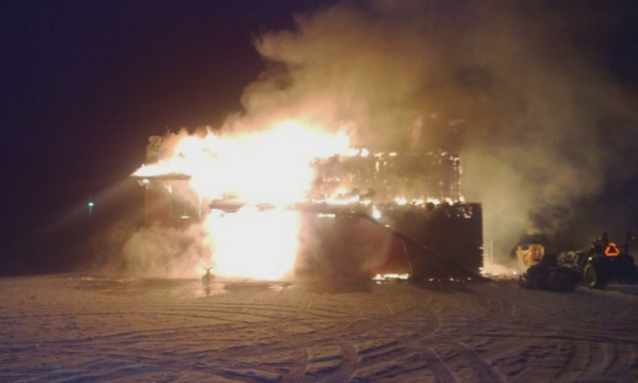 Saskatchewan family credits dog with saving a life - image