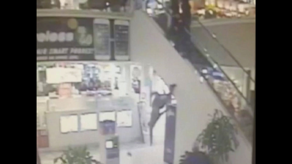 Caught on camera: man jumps over side of escalator while trying to flee police - image