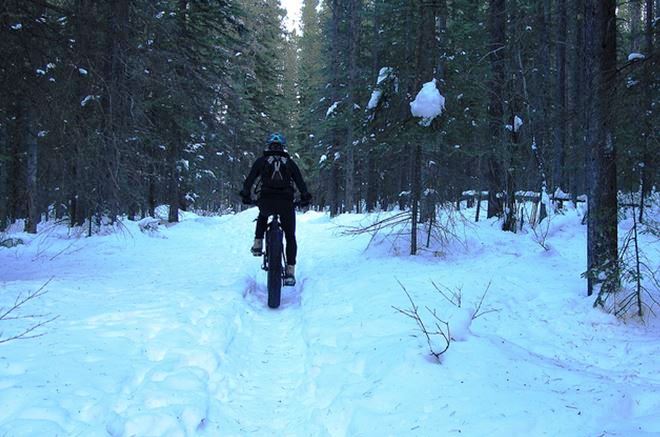 Fat biking in Alberta.