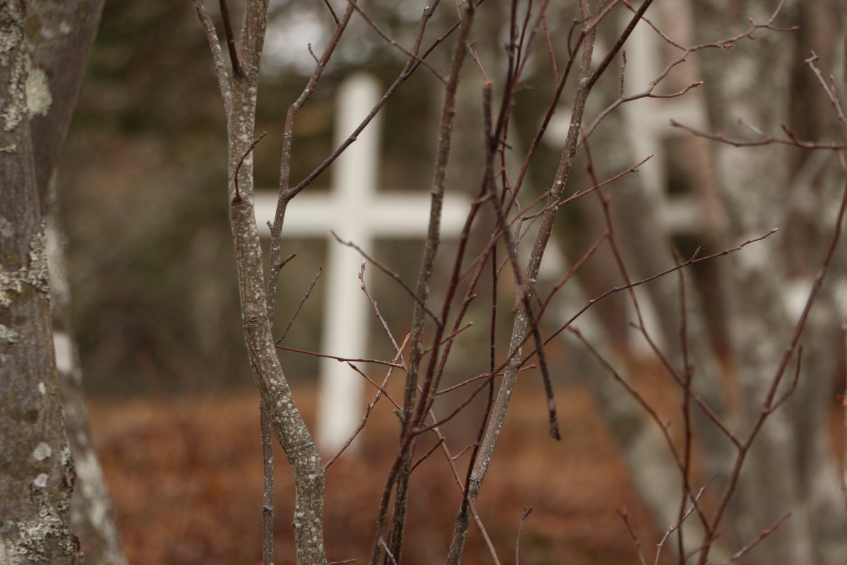 The Poor's Farm cemetery is a little known spot full of historical significance.