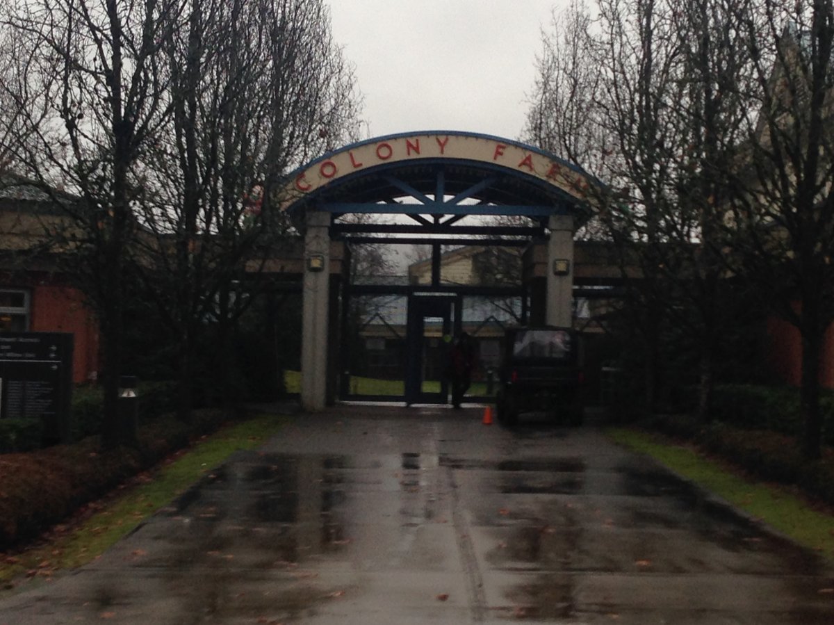 Coquitlam Forensic Psychiatric Hospital gets upgrades to combat violence against workers - image