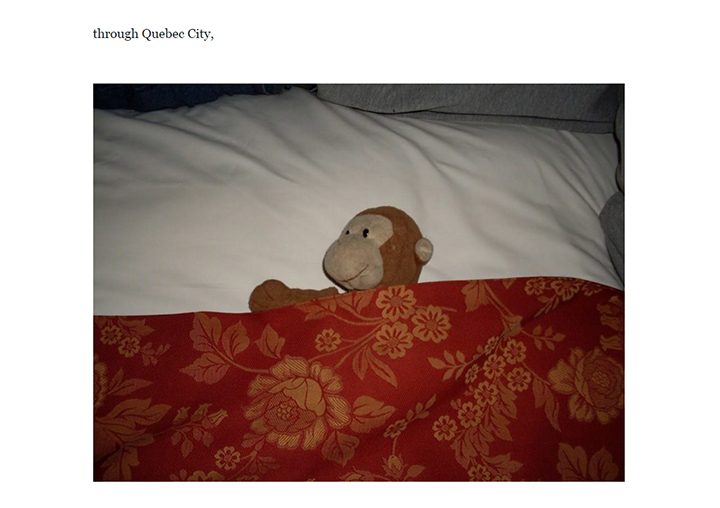 Ontario mother hopes to solve daughter’s missing monkey mystery in time for Christmas - image