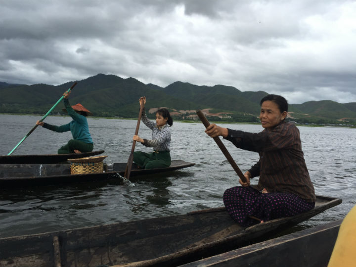 Women row across Inle Lake. These women were out helping other neighbors in their community harvest tomatoes that are grown on the lake.