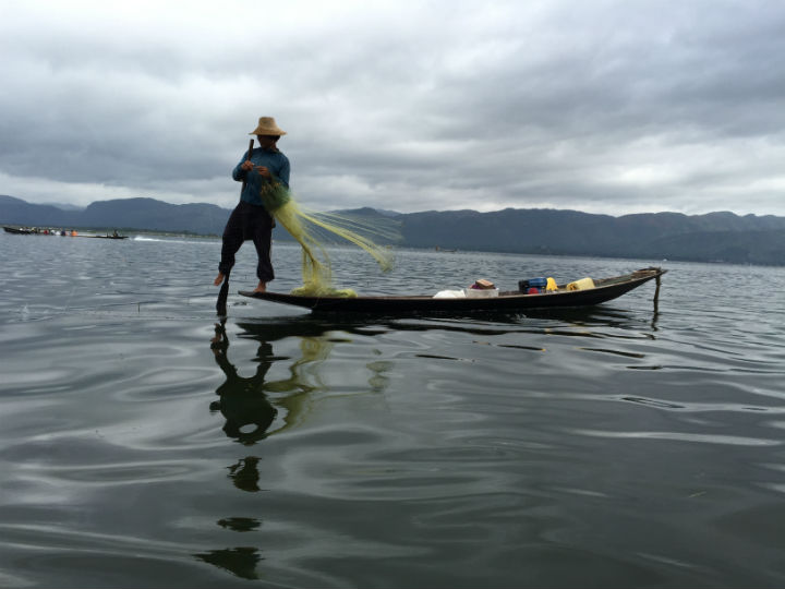 — A Traditional Fisherman at work on Inle Lake in the Taunggyi region of Shan State, Myanmar.