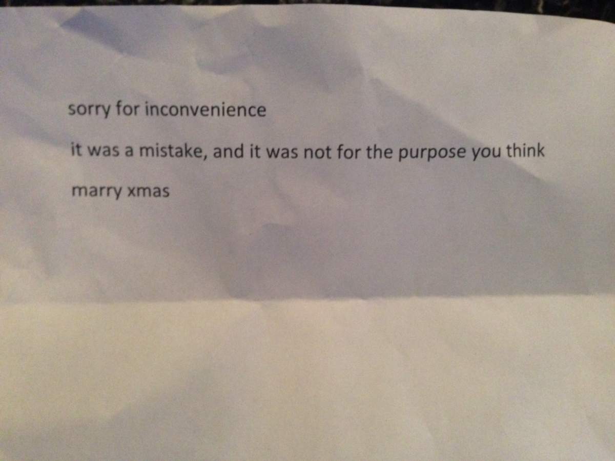 UPDATE: Stolen Christmas light returned with apology note in Winnipeg - image