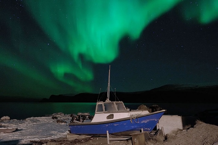 Nunavut photographer turns tossed tea into frozen art - National ...