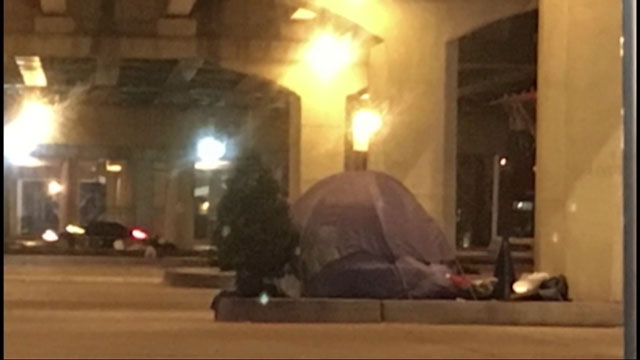 Homeless man gets Christmas tree back thanks to kind strangers after city deems it a ‘violation’ - image