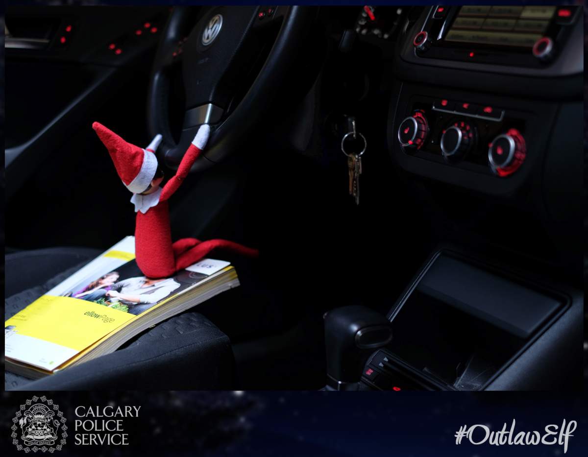 Police warn Calgarians about gang of #Criminelves - image