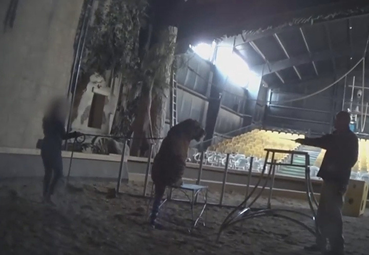 A PETA surveillance video shows a the zoo owner cracked a whip at a tiger, although he denies hitting the animal.