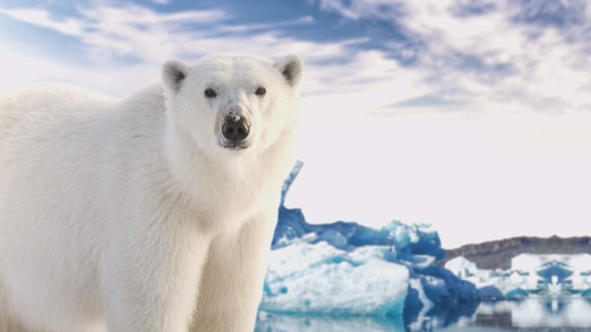 The Pallister government will provide up to $9 million to the University of Manitoba to support the construction of a new marine observatory in Churchill.