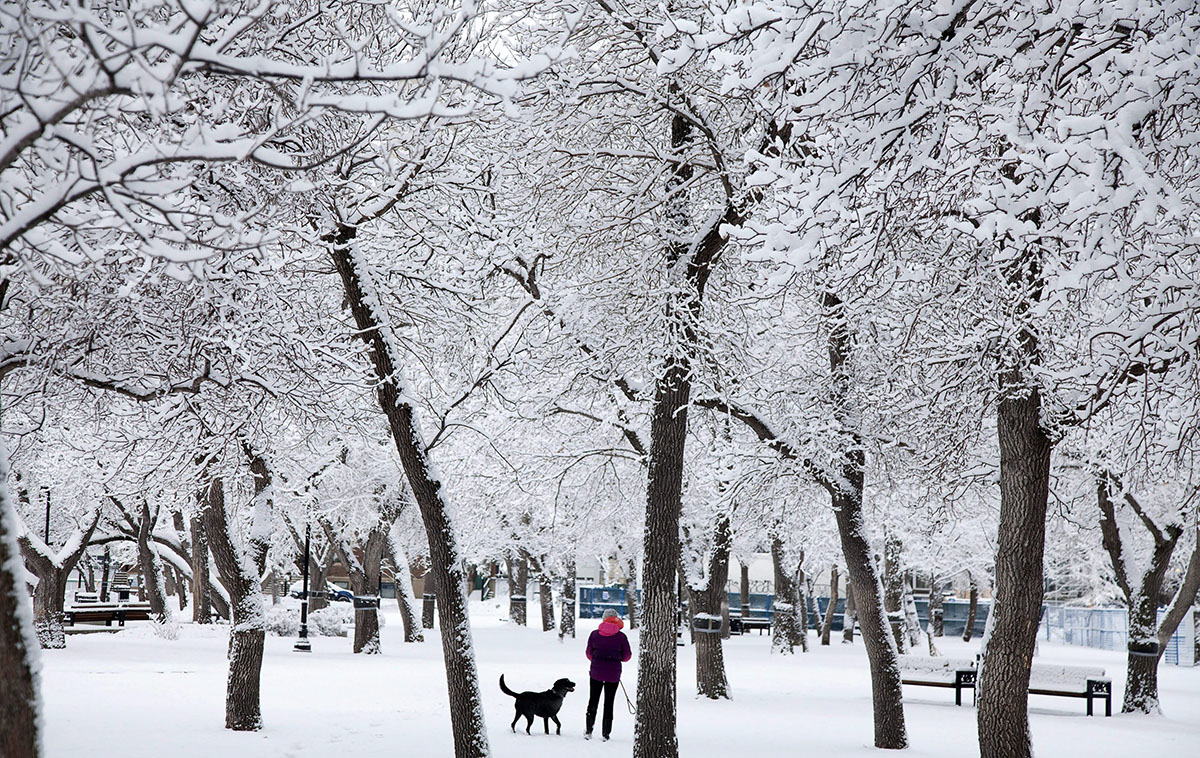 A woman and her dog walk through a snow covered park in downtown Regina, Sask, Saturday, April 16, 2011, after some 10cm of snow fell overnight.  