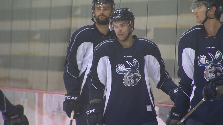 Winnipegger Kelly Zajac has been released by the Manitoba Moose.