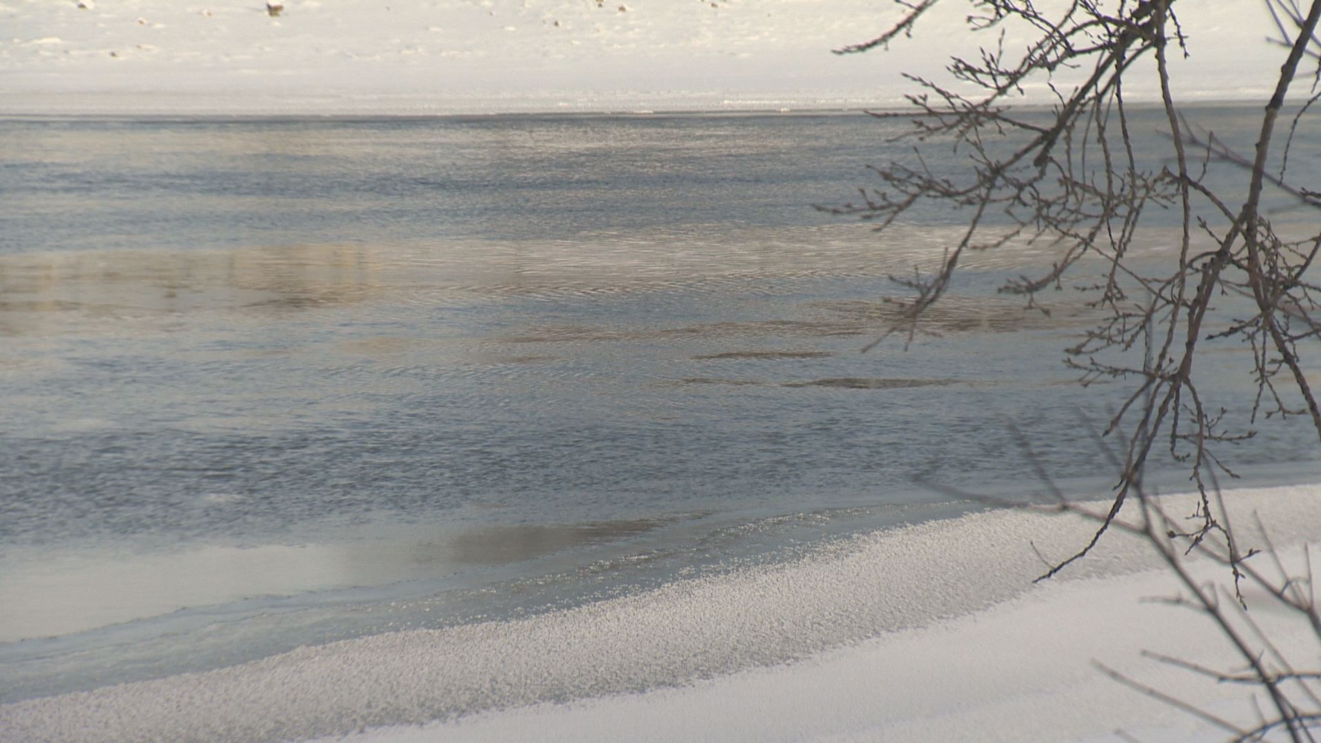Полицейската служба на Уинипег и градската пожарна парамедична служба молят
