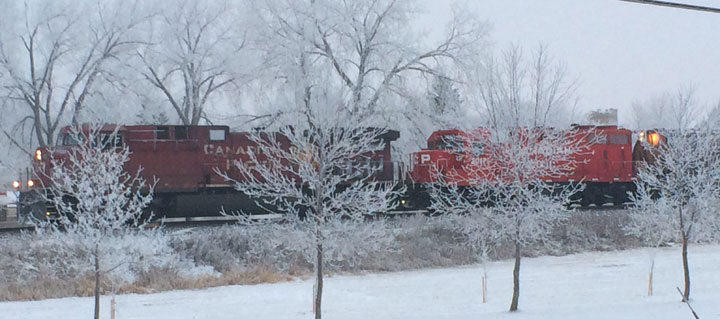 Dec. 27: This Your Saskatchewan photo was taken by Carla McCall in Wolseley of a frosty morning.