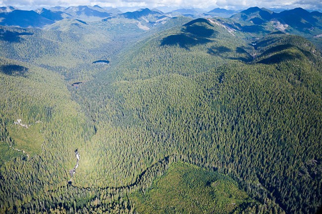 Eleven people were arrested at blockades on southwestern Vancouver Island.