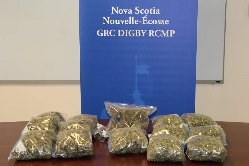 The marijuana seized by the Digby RCMP on December 12. 