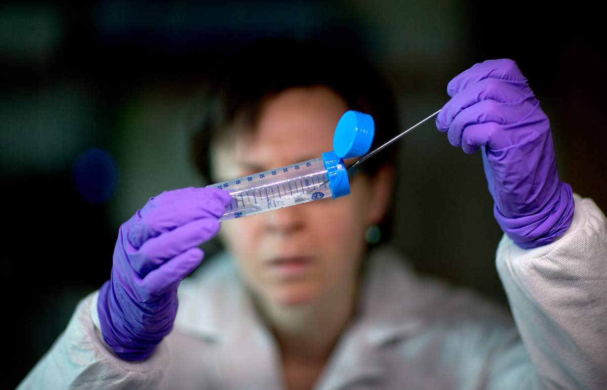All the phage: Winnipeg company hopes to lead the fight against drug-resistant bacteria - image