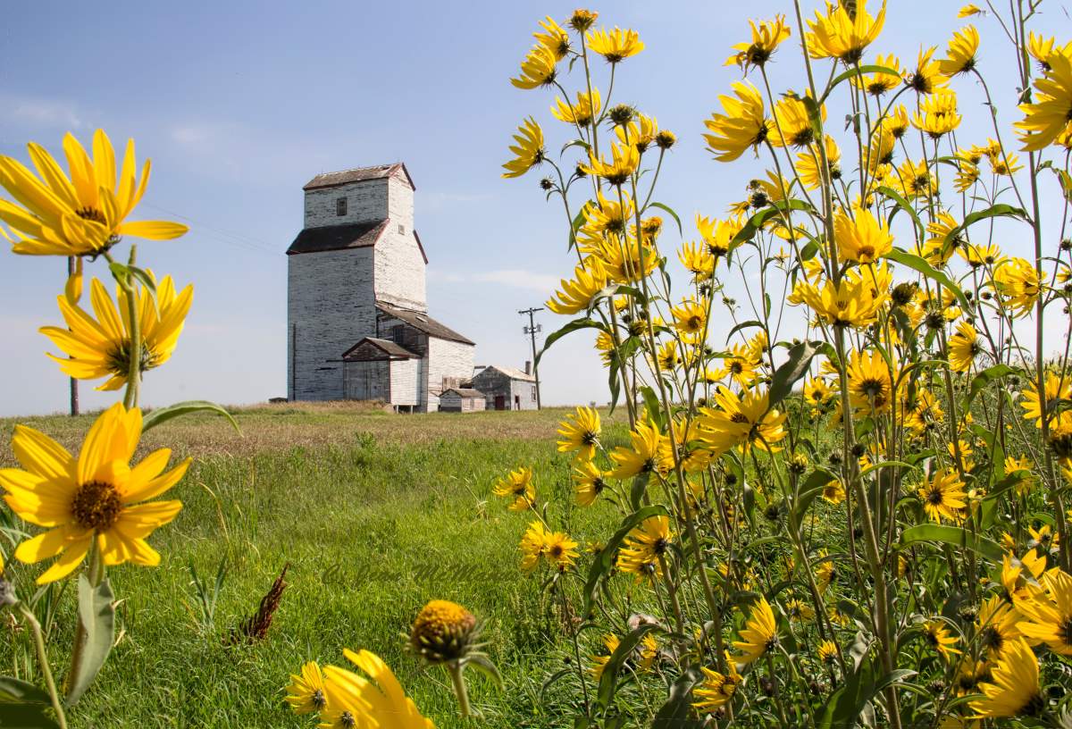 Winnipeg photographer on quest to capture every grain elevator in Manitoba - image
