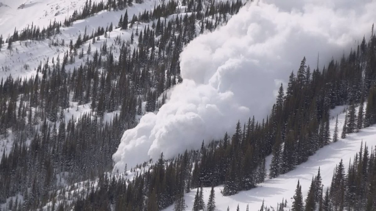Why was Highway 3 closed near Creston? 16 triggered avalanches - image