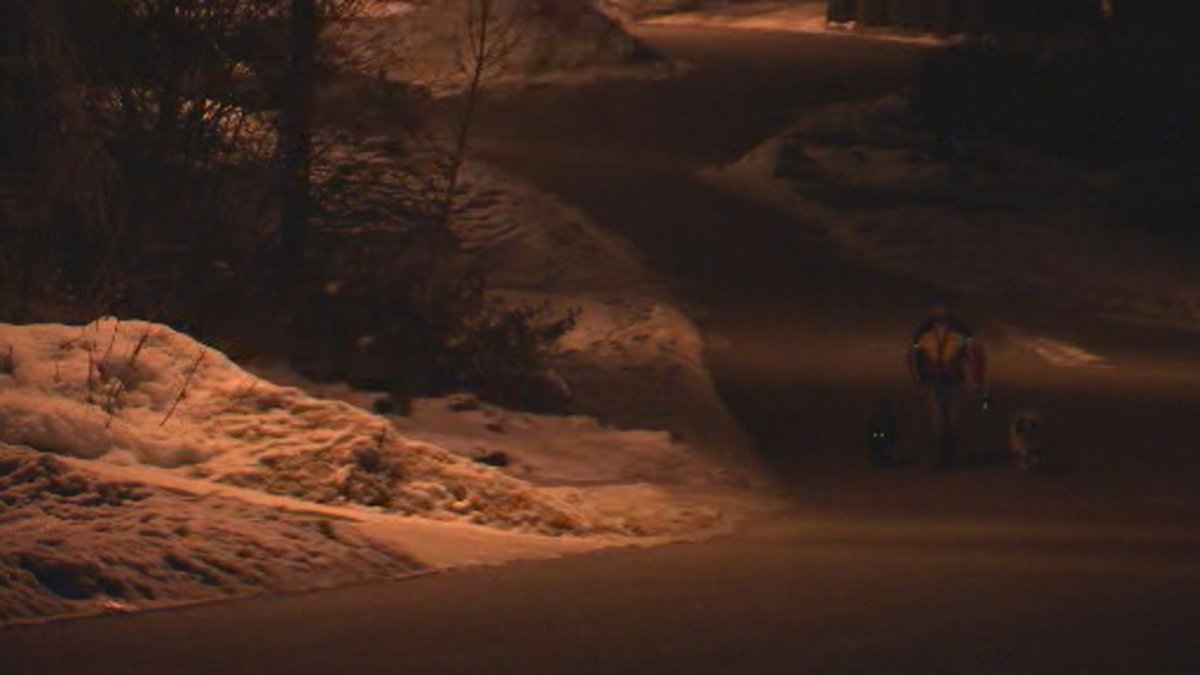 People were still walking dogs Friday night after an RCMP warning of a cougar sighting on Bello Road in Kelowna. 