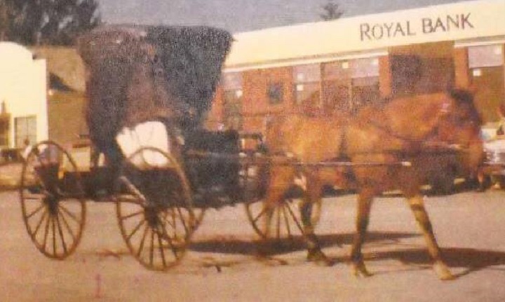 A 1920's horse drawn buggy along with two 1940's tricycles have disappeared from a property near the western Manitoba community of Hamiota.