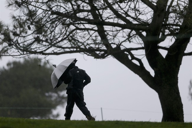 A man uses an umbrella to shield against the wind during a weather delay in the final round of the Farmers Insurance Open golf tournament, Sunday, Jan. 31, 2016, in San Diego.v.