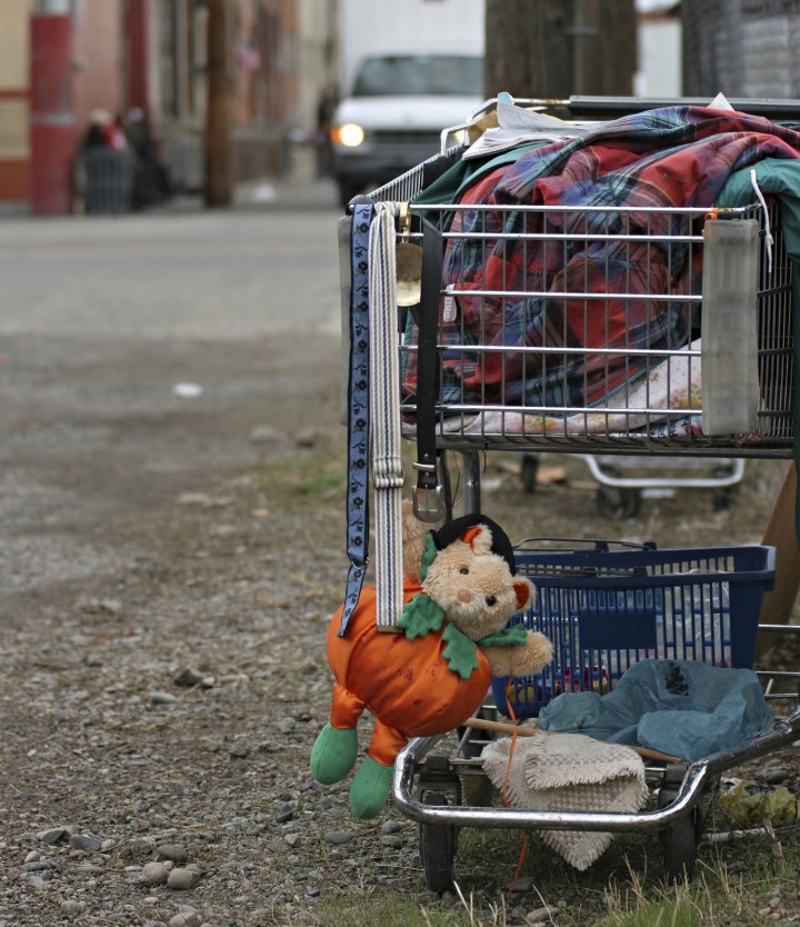 Highly anticipated homelessness strategy approved in Kelowna - image