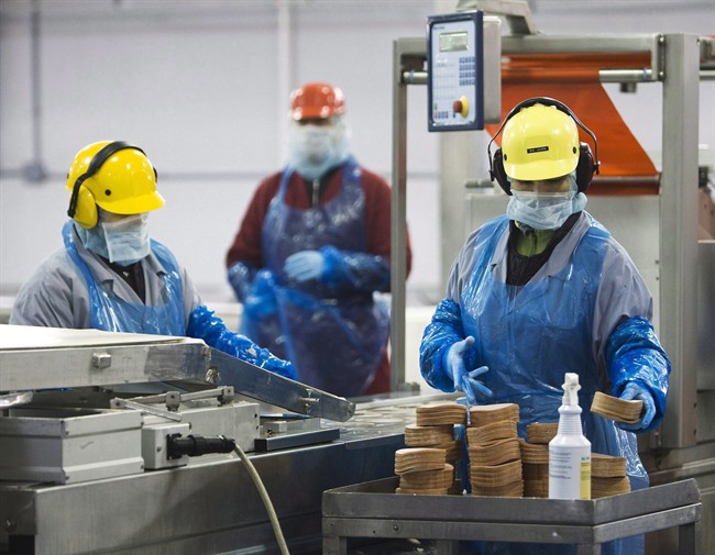 Maple Leaf Foods employees handle food products inside the company's meat facility in Toronto on Monday, December, 15, 2008. 