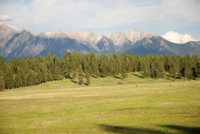 Grasslands in Columbia Valley, B.C. are shown in this undated handout image. A southeastern B.C. couple has partnered with the Nature Conservancy of Canada to protect a large parcel of their ranchlands in the Columbia Valley near Invermere.