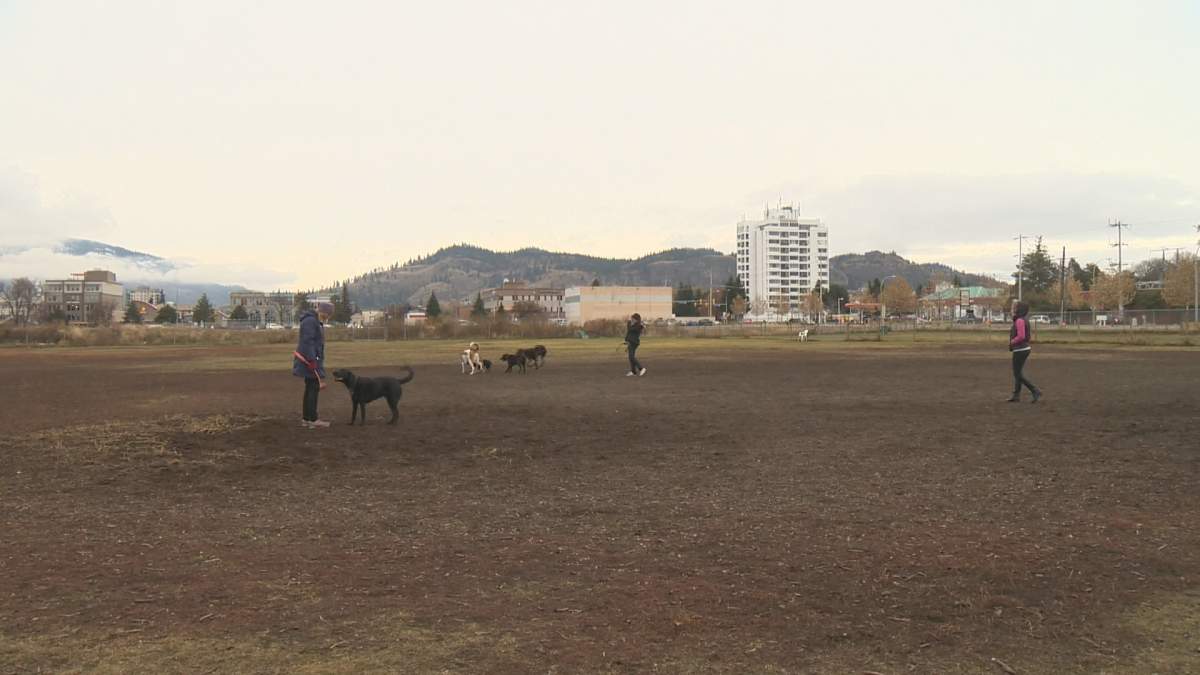 Kelowna residents asked for feedback on future dog parks - image