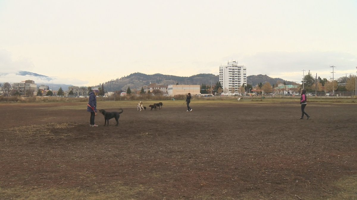 Kelowna residents asked for feedback on future dog parks - image