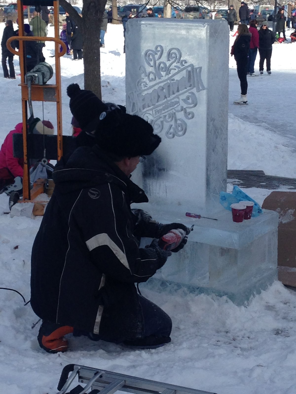 Unique ice sculptures charm Fredericton residents during Frostival - image